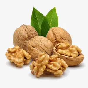 Hạt Óc Chó Mĩ